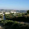 roushinafrin0