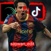 saywaneditor3