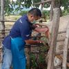 somchaisomsawat
