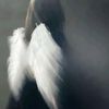 fatemeh.davari75