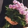 .eman441
