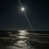avbyxw