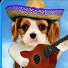 itzel.cheesefeather