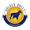 Canil Golden Bulls