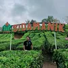 nonotaza