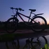 gleb23100