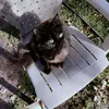 kikidelivery_33