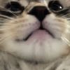 nataliemadembo6