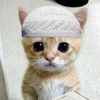 amqum