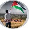 mahmoudlabib499