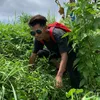 bocah_pecicilan