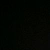 merna_1101
