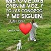 efrainhuanuco