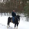 ivanov.jj