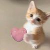 your_local_stitch_lover