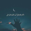 aliaa.safwat4