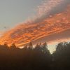 random_77928