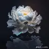 ngcli01058831116