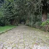 mardalanitudia