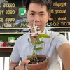 minh_dong_nai_