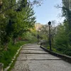 mar_00800