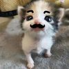 annyain_han