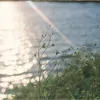 khoailang238