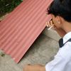 prmnz_