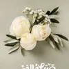 ali777emara