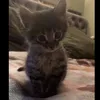 nnnnnn0___