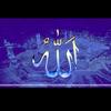 mahluk.allah.swt.01