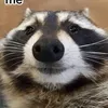 Goon_raccoon