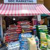 gdcmarketing888