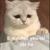 dyp9dm11nidy