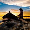 floridabeachhorses