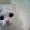 ddddddfrrrrvd