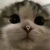 luhmnth