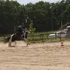 laura_willms_