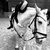 eq_salma_
