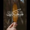 om_mohamed531