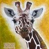 _giraffa_1