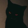 adn_sh1