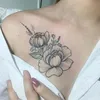 ngoclan96.an