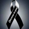 edgarquispe746