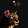 hero.mamadi