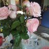 gloria_severo