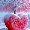 user8638852929188