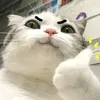 ng.dong07
