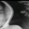 vladigonzalez08