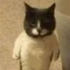 _hiiiiii08